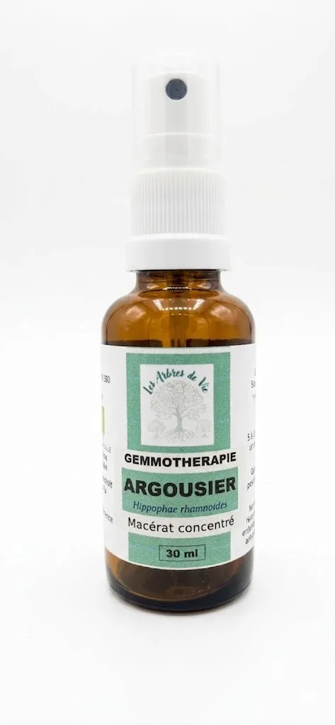 Argousier — vue 2