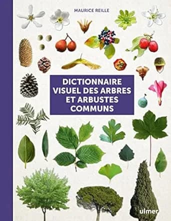 Couverture de Dictionnaire visuel des arbres et arbustes communs