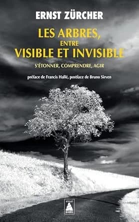 Couverture de Les arbres entre visible et invisible