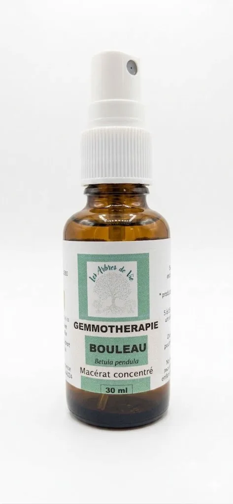 Bouleau Verruqueux — vue 2