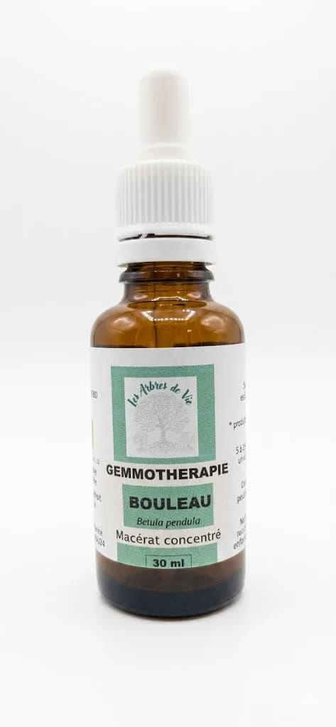 Bouleau Verruqueux — Macérats Unitaires bio Les Arbres de Vie