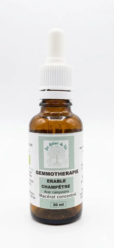 Érable champêtre — Macérats Unitaires bio Les Arbres de Vie