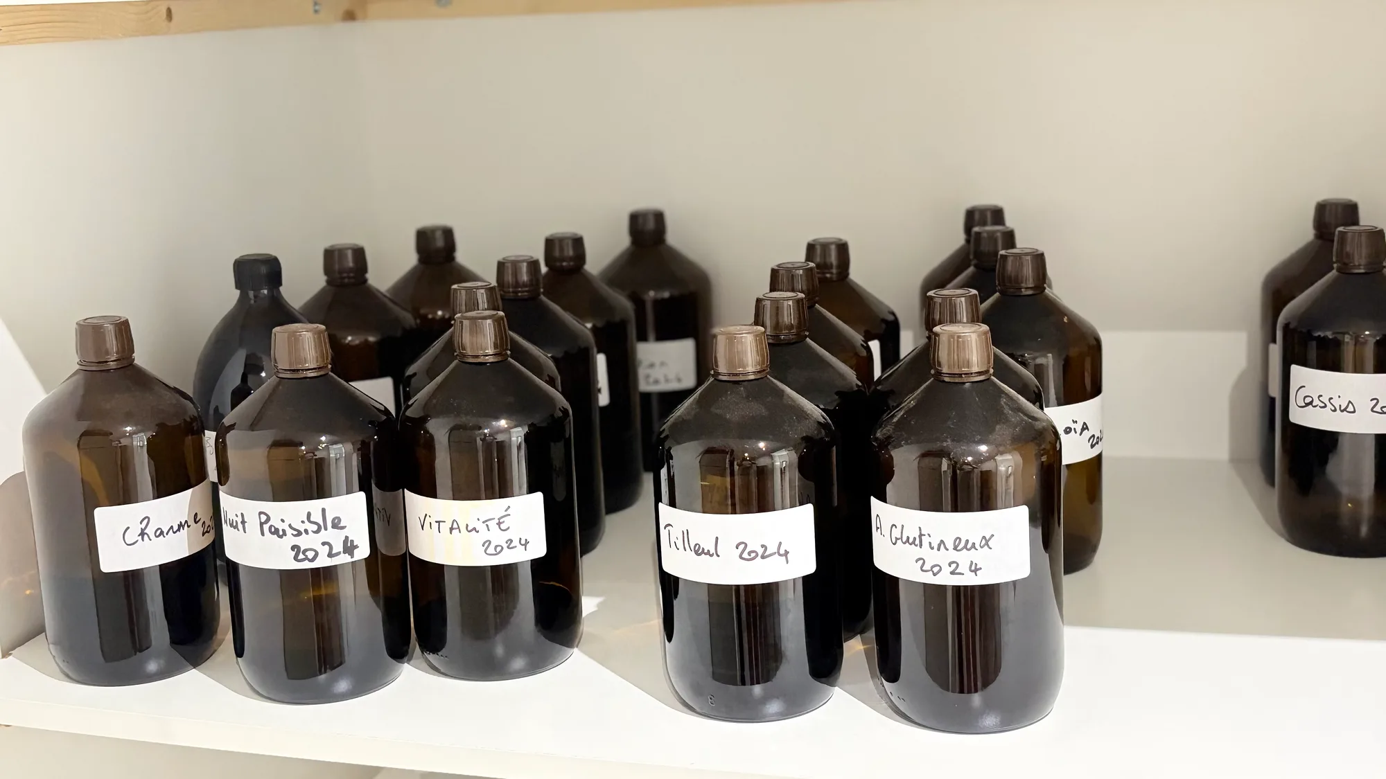 Réserve de macérats concentrés Les Arbres de Vie — bouteilles ambrées étiquetées à la main (Charme, Nuit Paisible, Vitalité, Tilleul, Aulne Glutineux, Cassis) — millésime 2024