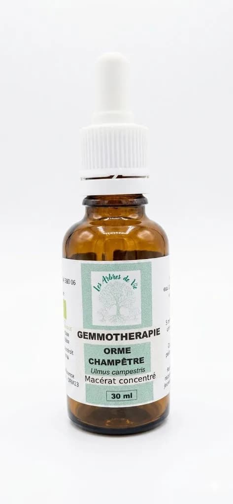 Orme champêtre — Macérats Unitaires bio Les Arbres de Vie