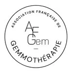 Logo AFGem