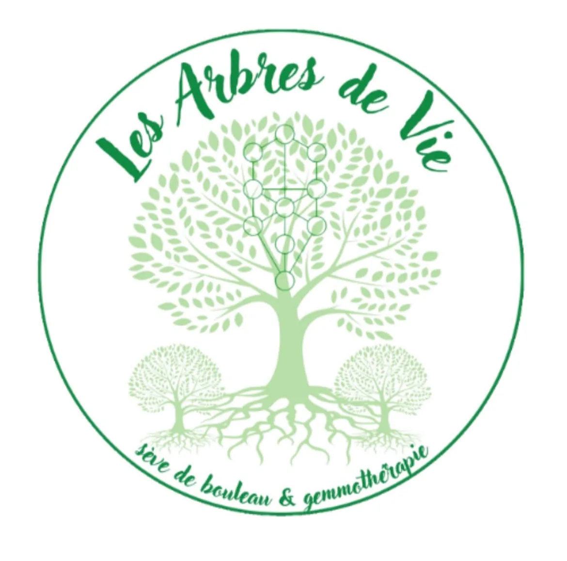 Logo Les Arbres de Vie